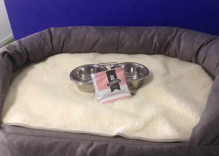 Casual Gurea Guest house 2*