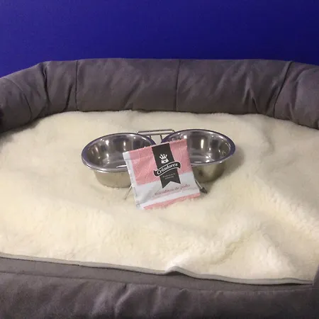 캐주얼 구레아 게스트하우스 2*